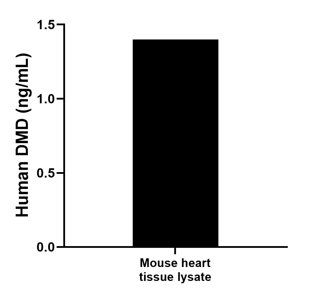 Sample test of MP00595-1